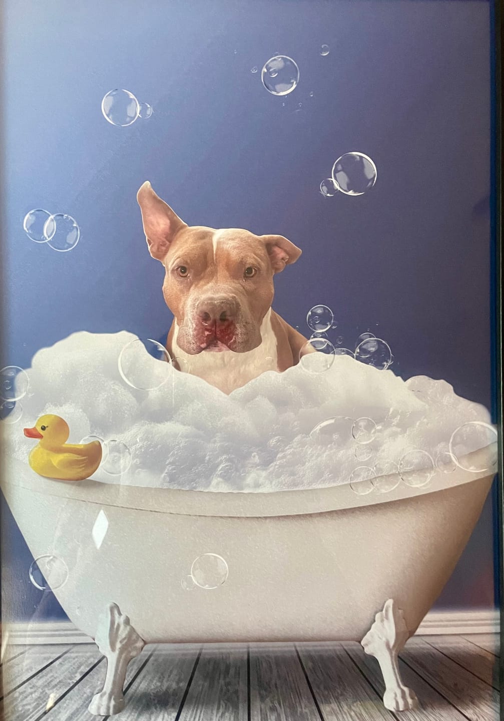 Customer photo review of Fun in the tub - Personalized Poster