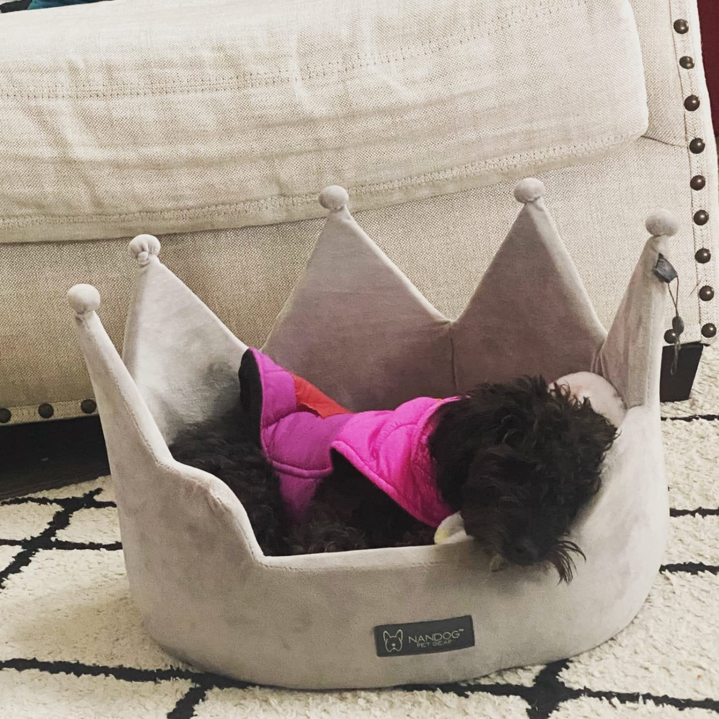 Customer photo review of [HOT SALE] 3-in-1 Pet Grooming Hair Dryer