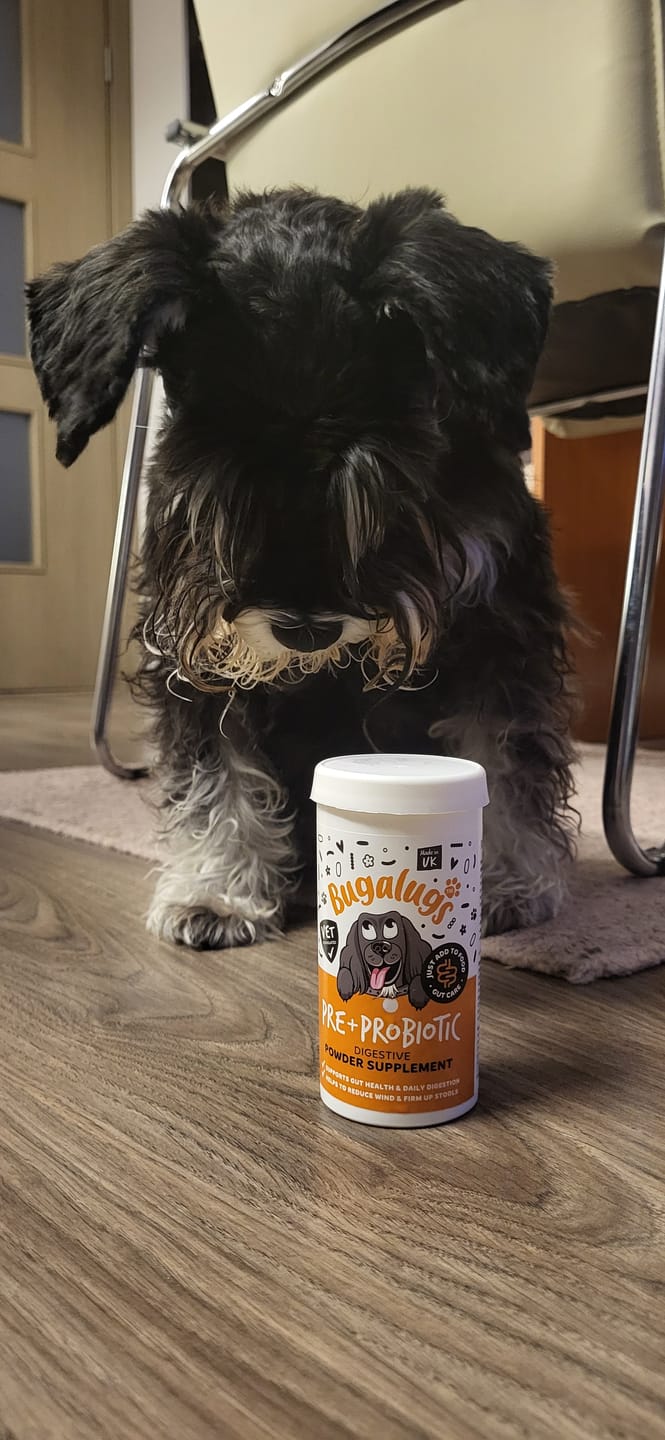 Customer photo review of Pre & Probiotic Digestive Supplement Powder for Dogs (80g)