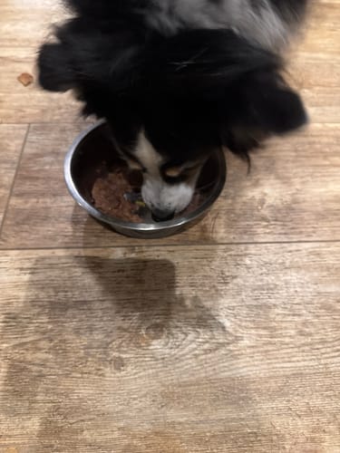 Customer photo review of Frischfutter für Energiebedarf von 876 kCal/Tag