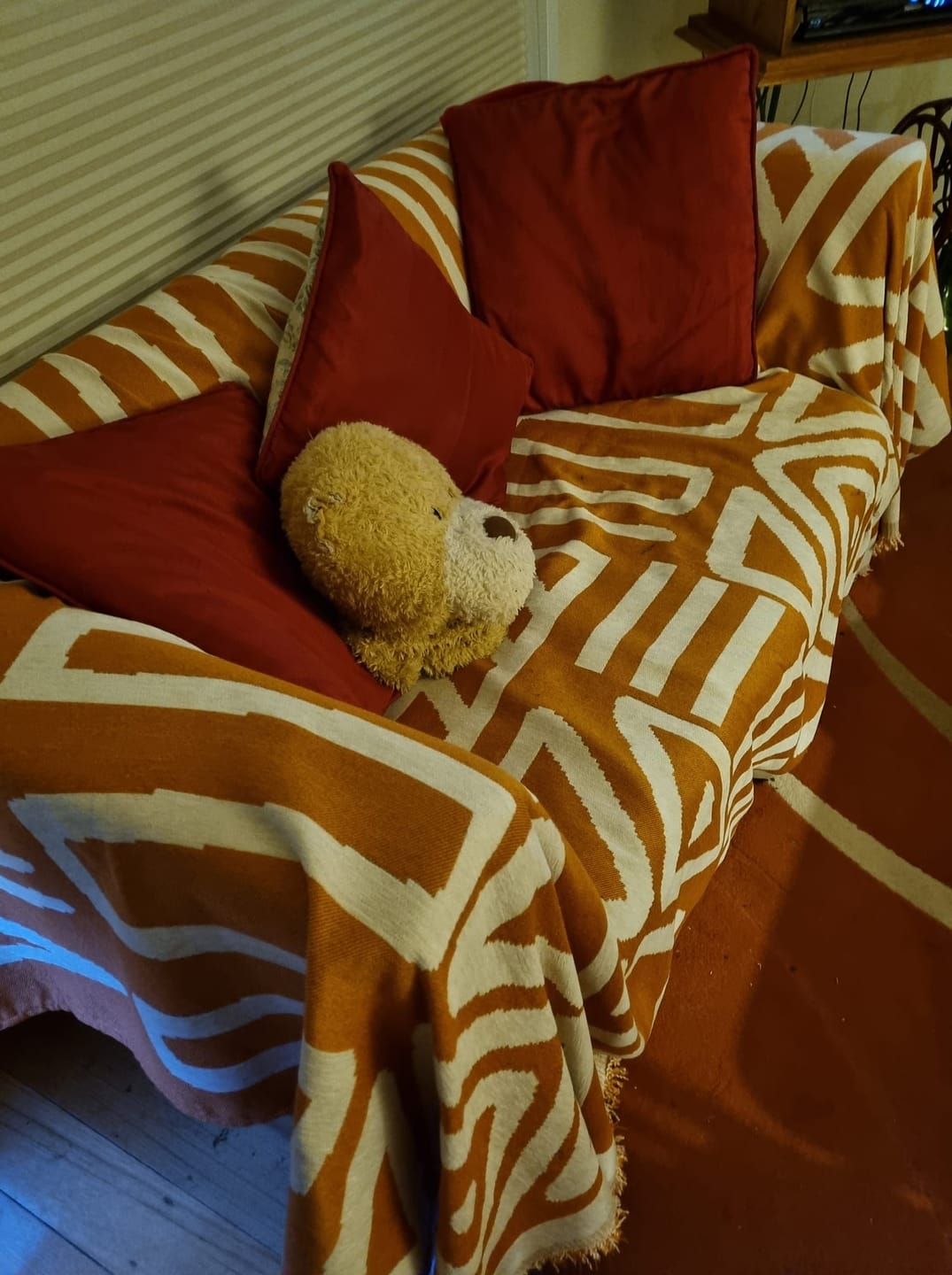 Customer photo review of CouchCare™️ Couch Protector