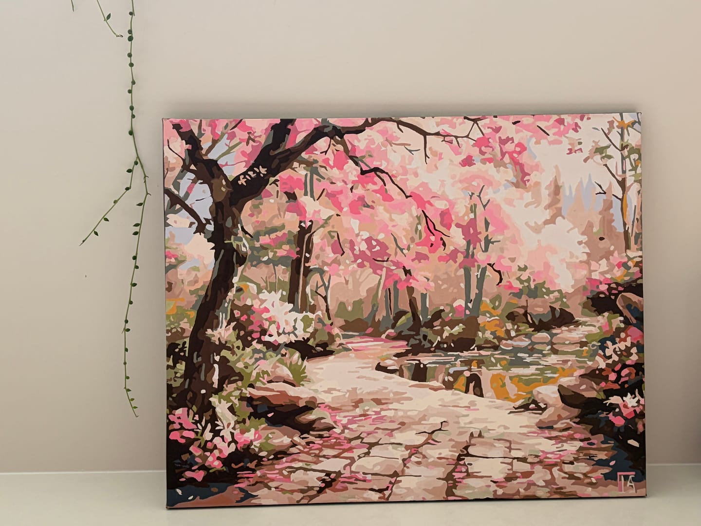 Customer photo review of Serene Sakura Stone Path