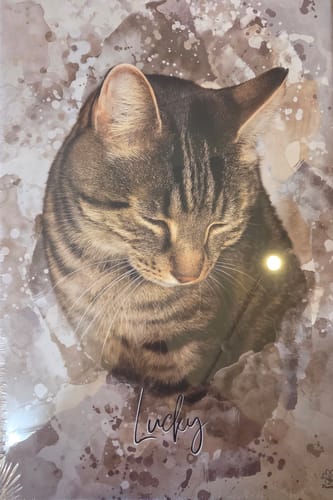Customer photo review of Aquarell Pawtrait