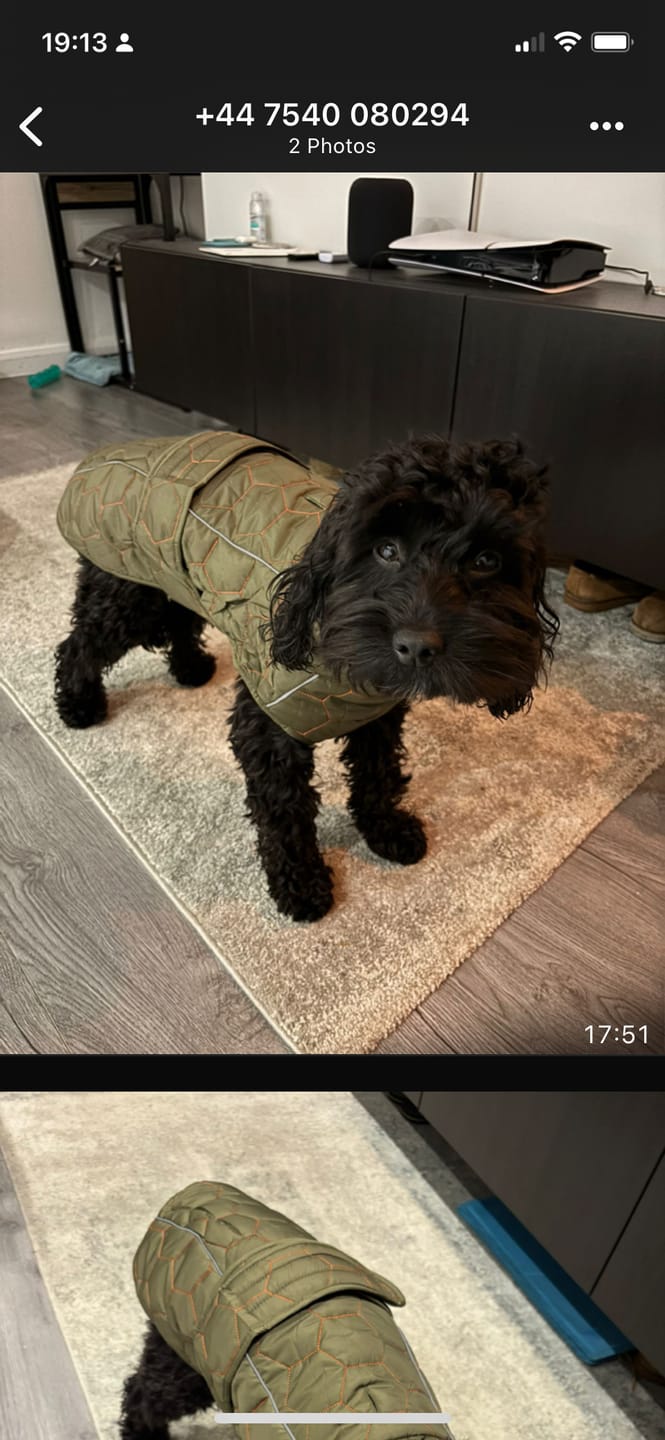 Customer photo review of Honey Comb Dog Coat