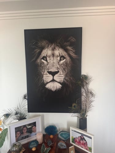 Customer photo review of Lion's Pride