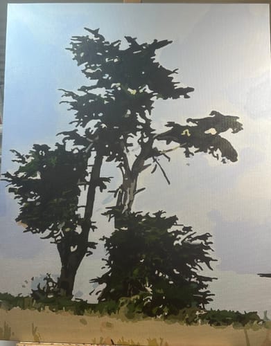 Customer photo review of Custom Paint By Numbers Kit