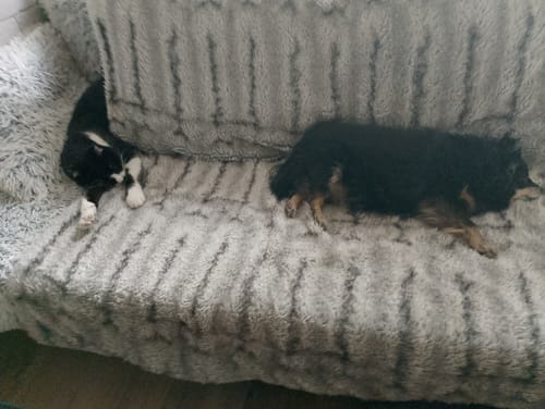 Customer photo review of Kanapa NOLA