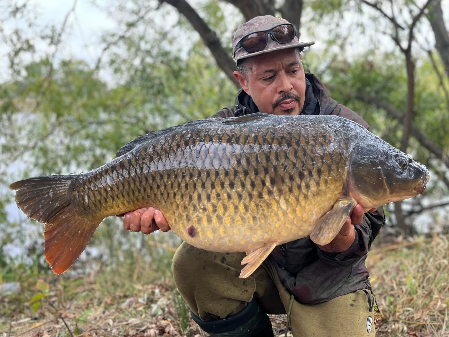 Customer photo review of WCXMCXFF Autumn Special Pop-Ups