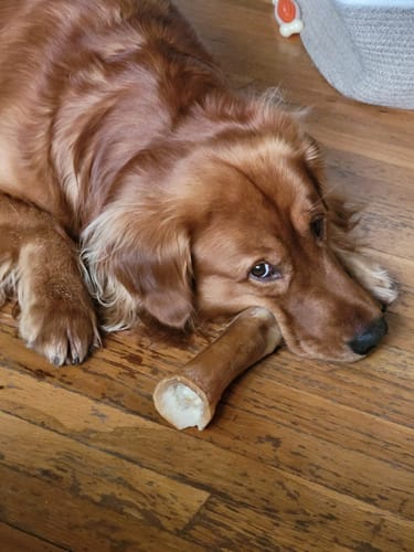 Customer photo review of Beef Gullet Jerky Sticks 6"