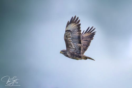 Customer photo review of The 2025 Complete Bundle for only $49 with Code: SAVE50