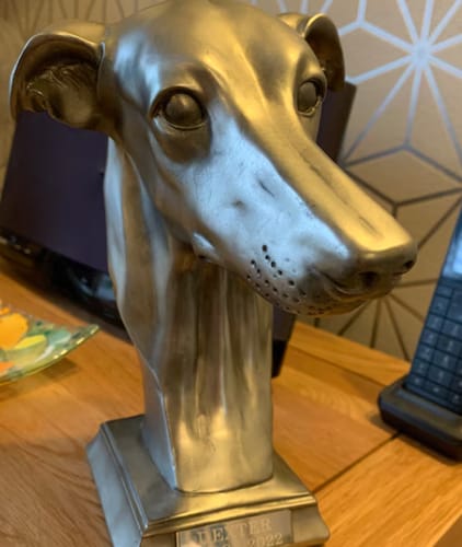 Customer photo review of Cloudray  GM Series Neo 100W 200W Autofocus Mopa Fiber Laser Engraver with Built-in Camera & Electric Lifting Column