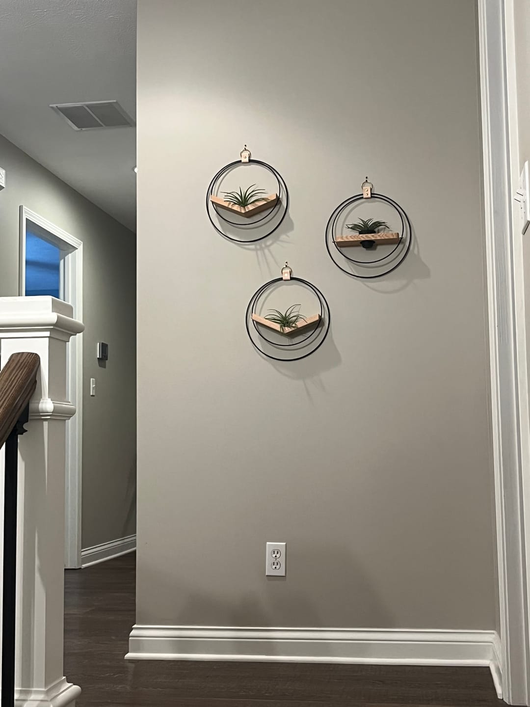 Customer photo review of Air Plant V-Hanger & Shelf Mixed Trio