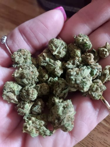 Customer photo review of Electro Lime | THCA Flower Smalls