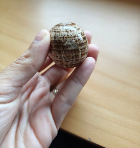 Customer photo review of Aragonito Marrón Rodado || Vivir el presente - Estabilizador