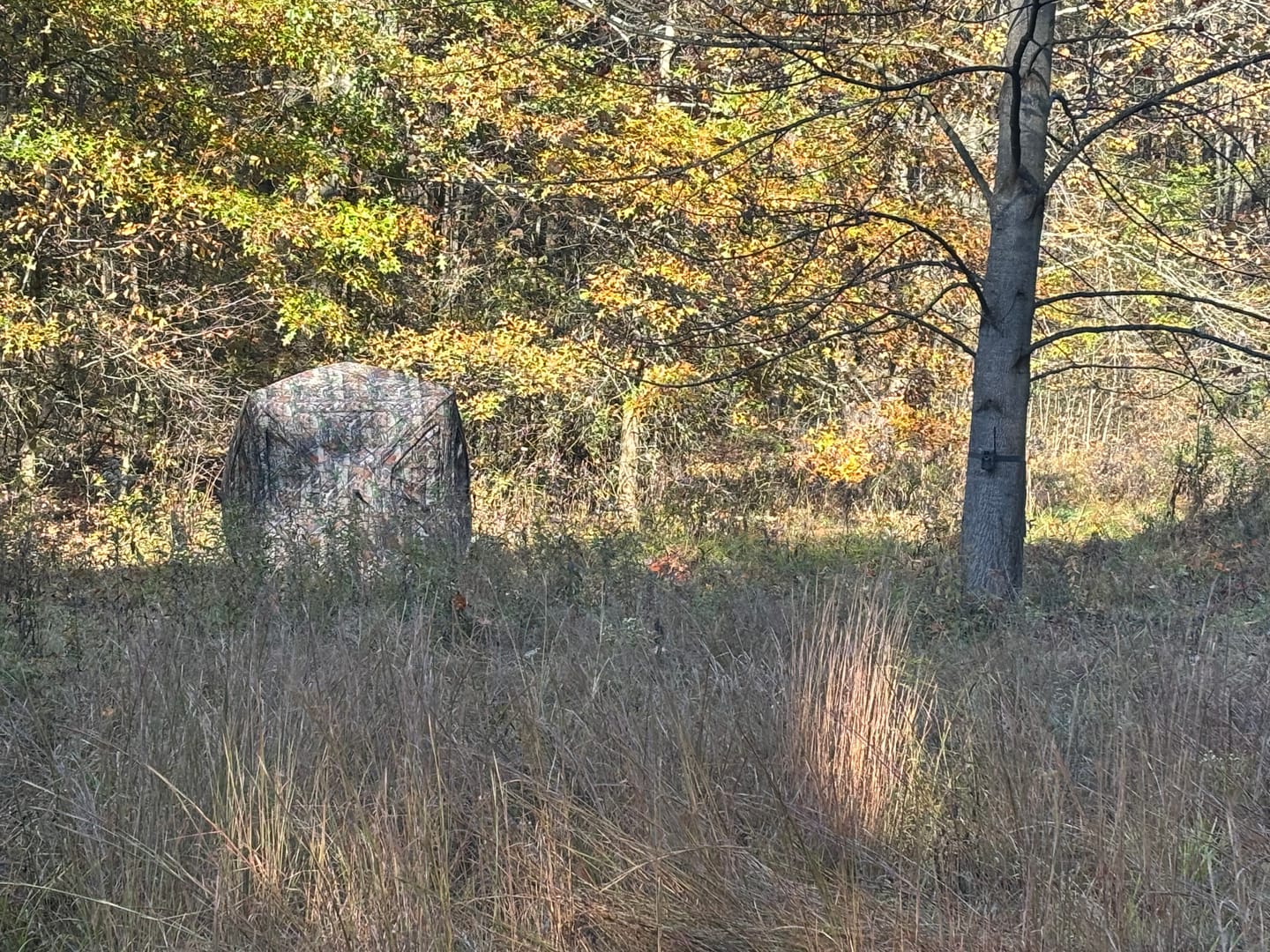 Customer photo review of Vis360 See Through Silent 4 Full Panels Deer Hunting Blind