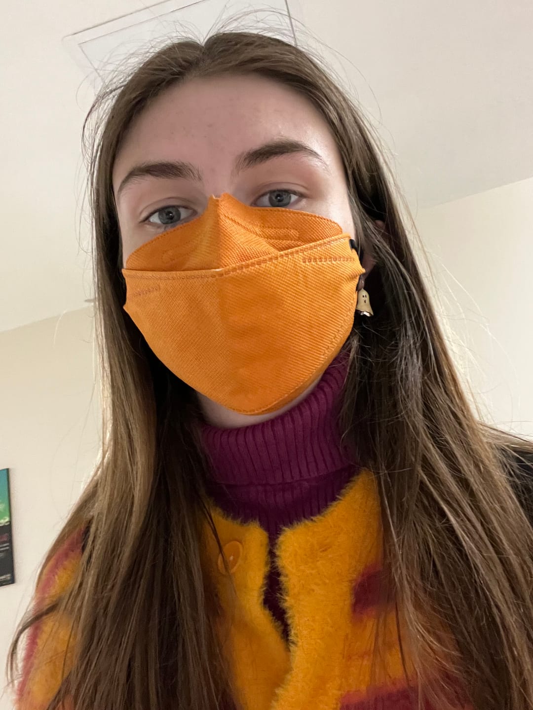Customer photo review of Kind KN95 Respirator Face Mask: The Rich Collection