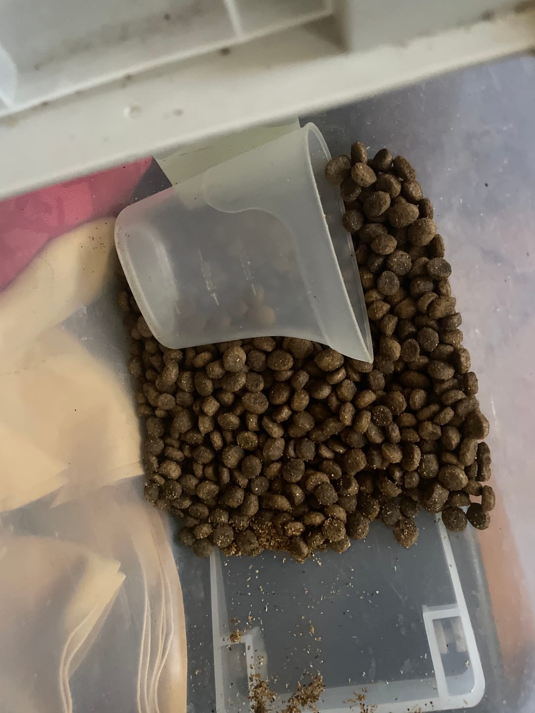 Customer photo review of Alimento Perro Adulto Toda Raza Proteína Insectos (Copia SM)