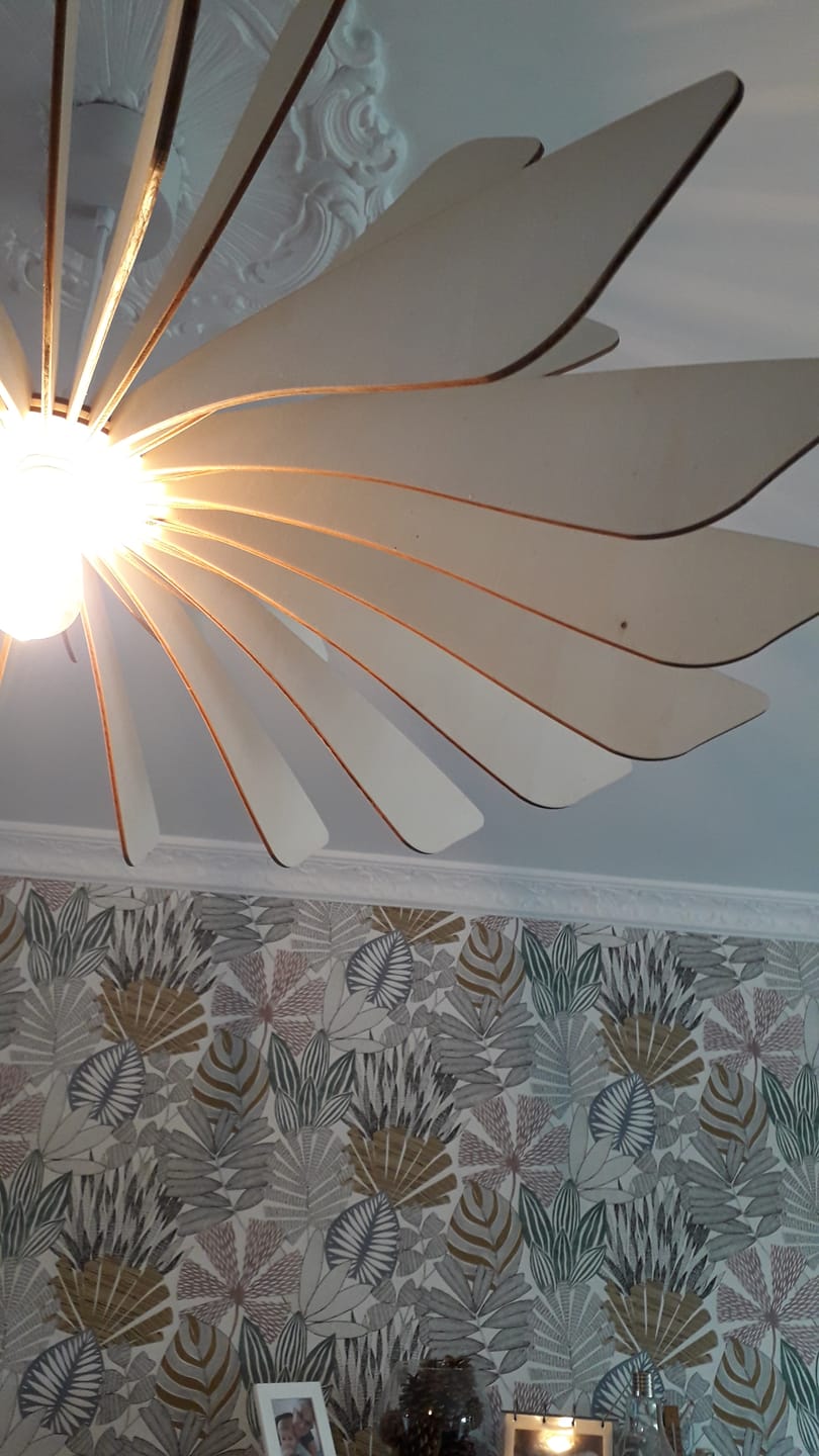Customer photo review of Aurora | Suspension