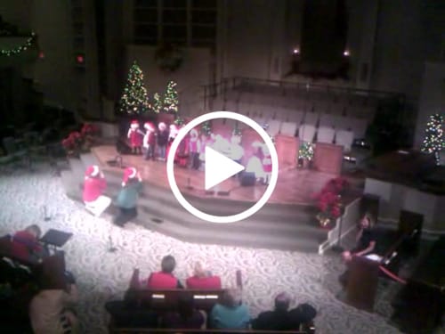 Customer video review of Lactobacillus Reuteri NCIMB 30242 | Microbiome Plus+