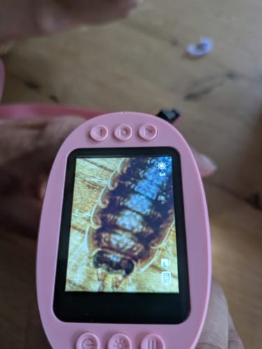 Customer photo review of Edubini Abenteuer-Mikroskop für Kinder