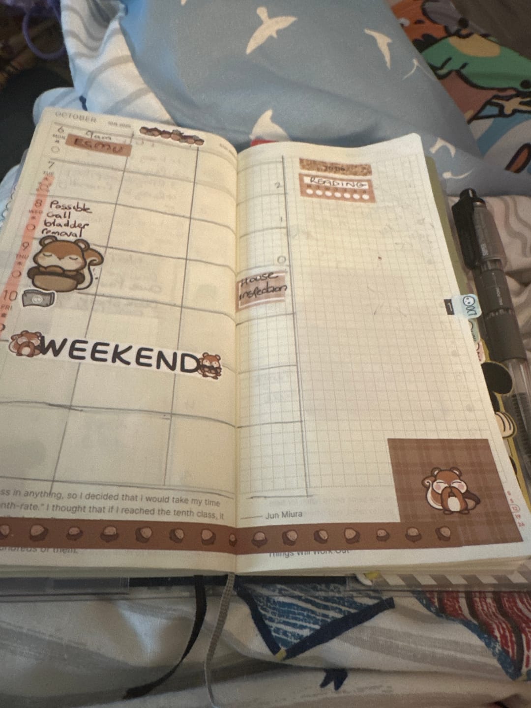 Customer photo review of Hobonichi Subscription