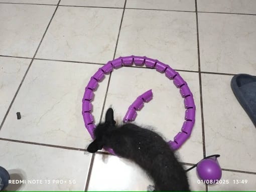 Customer photo review of FunFit Hula Hoop