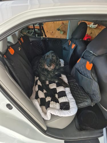Customer photo review of RuffRover 2.0™ - Hard Bottom Back Seat Extender + (FREE Dog Bed)