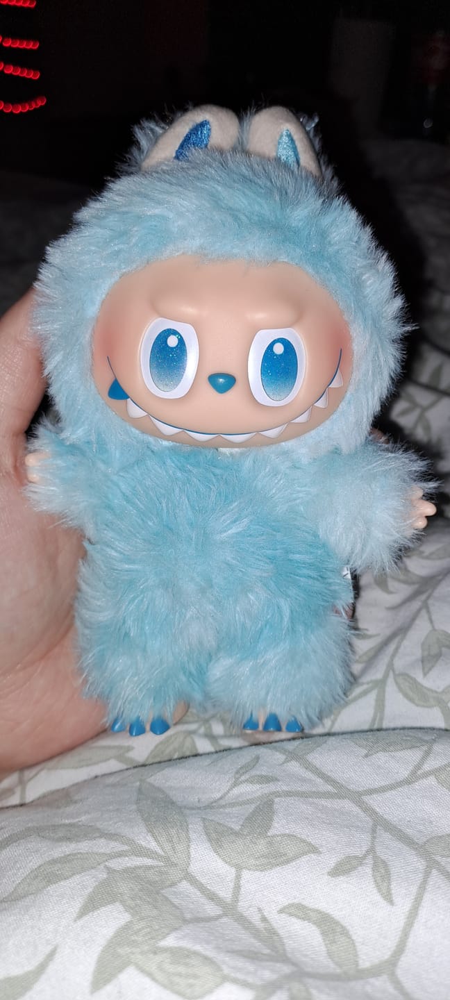 Customer photo review of Pop Mart Labubu The Monsters - Big into Energy Blind Box