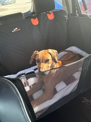 Customer photo review of RuffRover 2.0™ - Hard Bottom Dog Car Seat Protector