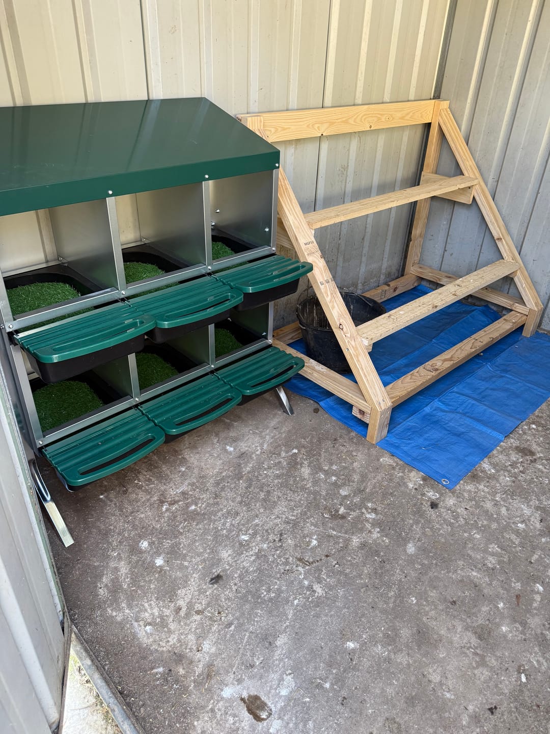 Customer photo review of Pets Gear Metal Chicken Laying Nest Box Roll Away Green