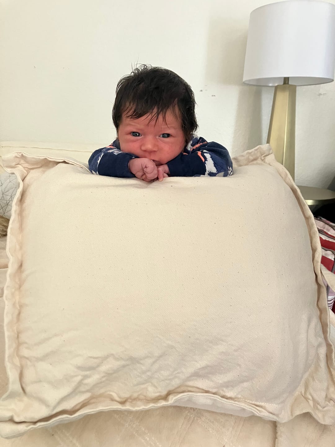 Customer photo review of Premium Pillow Cover | Natural