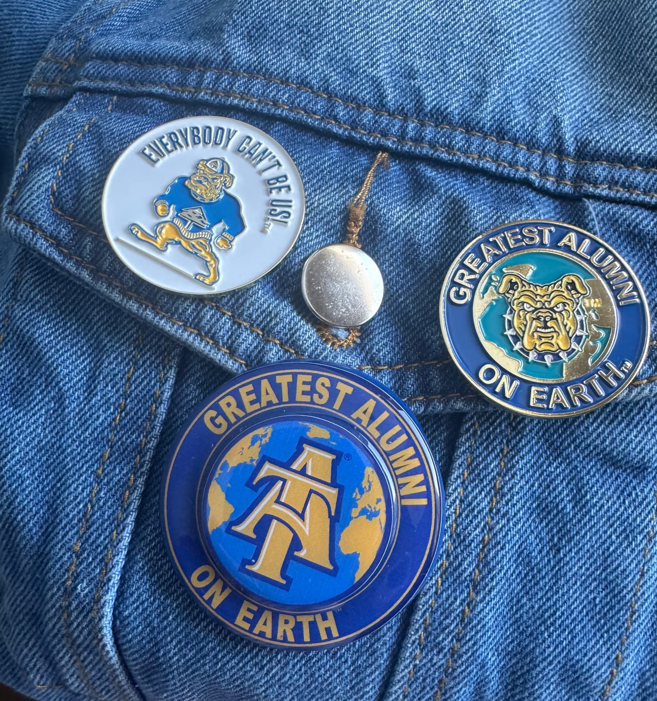 Customer photo review of Enamel Pins Template