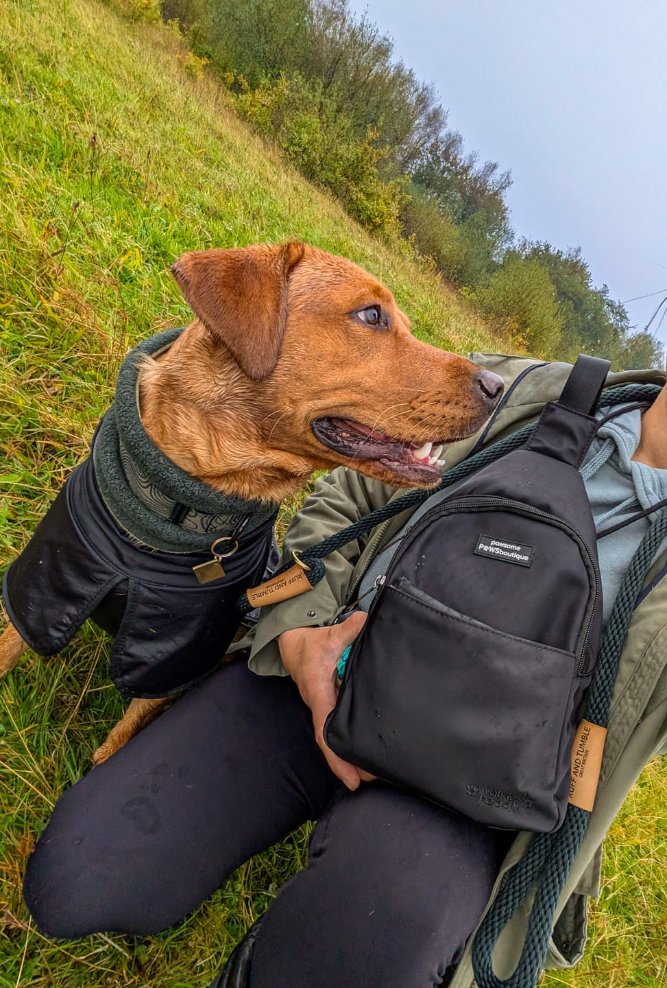 Customer photo review of Sling Backpack - Walkies Ready® Black