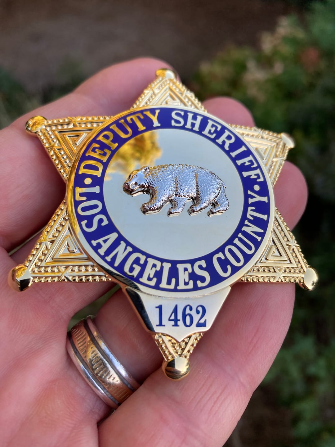 Customer photo review of LASD Los Angeles County Deputy Sheriff Star Badge Premium Enamel Exact Replica