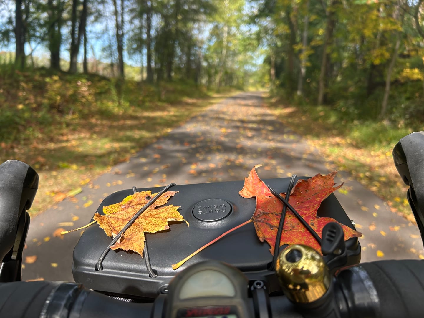 Customer photo review of The Handlebar Bag
