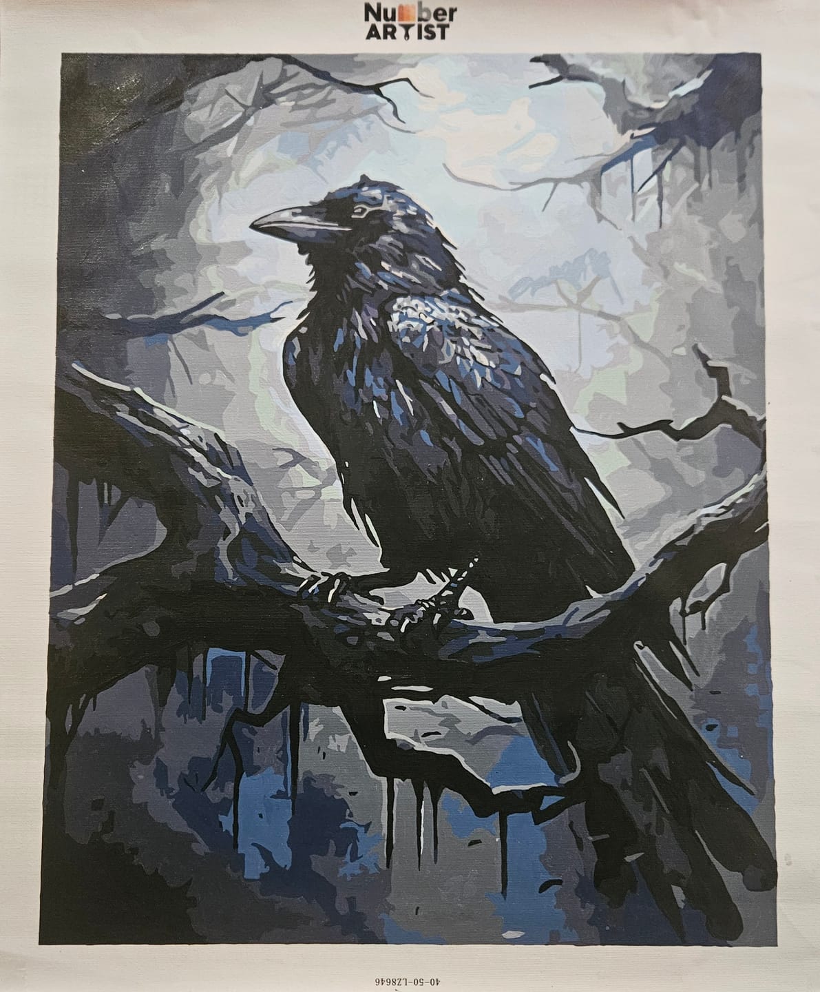 Customer photo review of Mysterious Raven