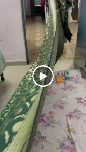 Customer video review of Bottle Green Murmuri Jaal Katan Silk Banarasi Saree