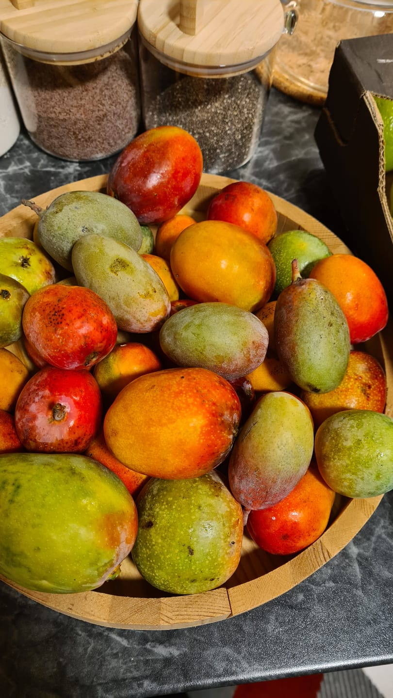 Customer photo review of Baby-Mango Mix "Wild Wonders" Box