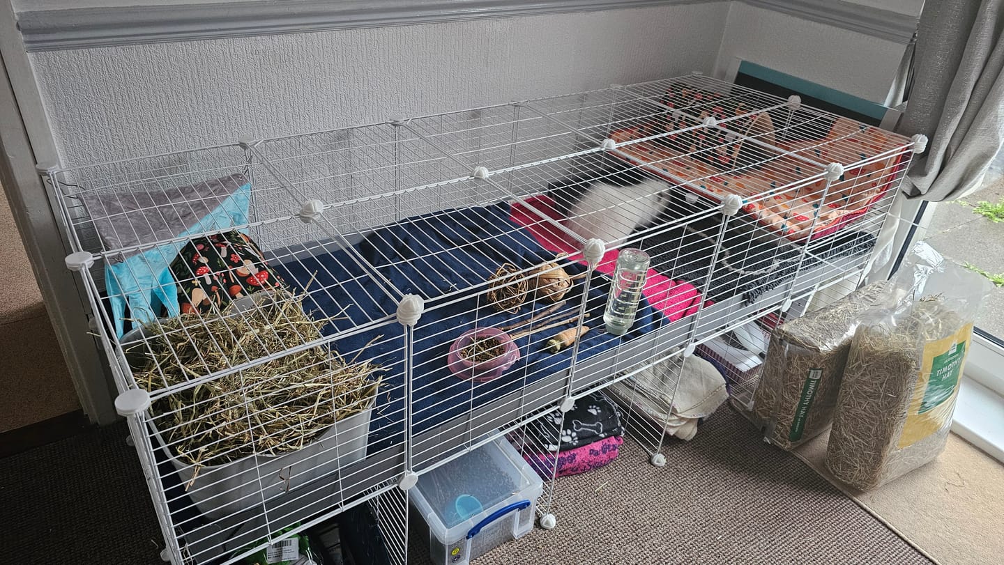 Customer photo review of 5x2 C&C Cage with Loft & Stand