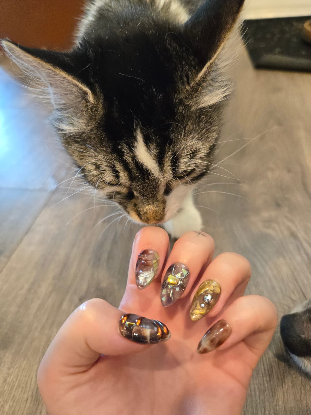 Customer photo review of Galaxy Amber