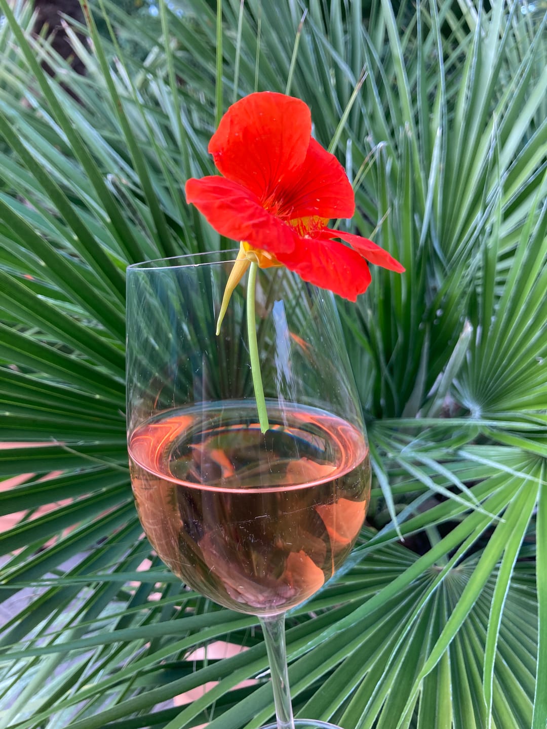 Customer photo review of GRILLFEUER ROSÉ