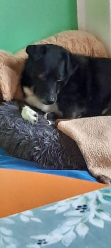 Customer photo review of Multi Vital