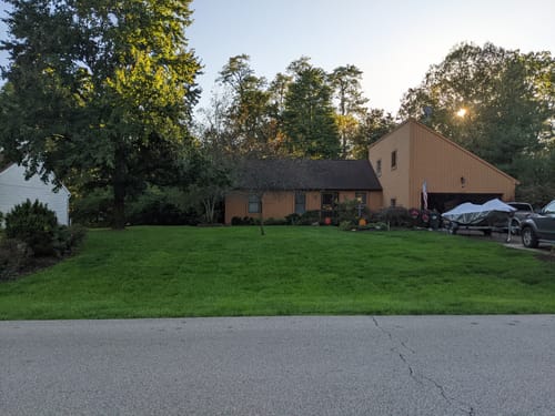 Customer photo review of GCI Turf Type Tall fescue Grass Seed