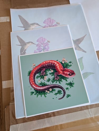 Customer photo review of 12x16 Giclee Fine Art Prints