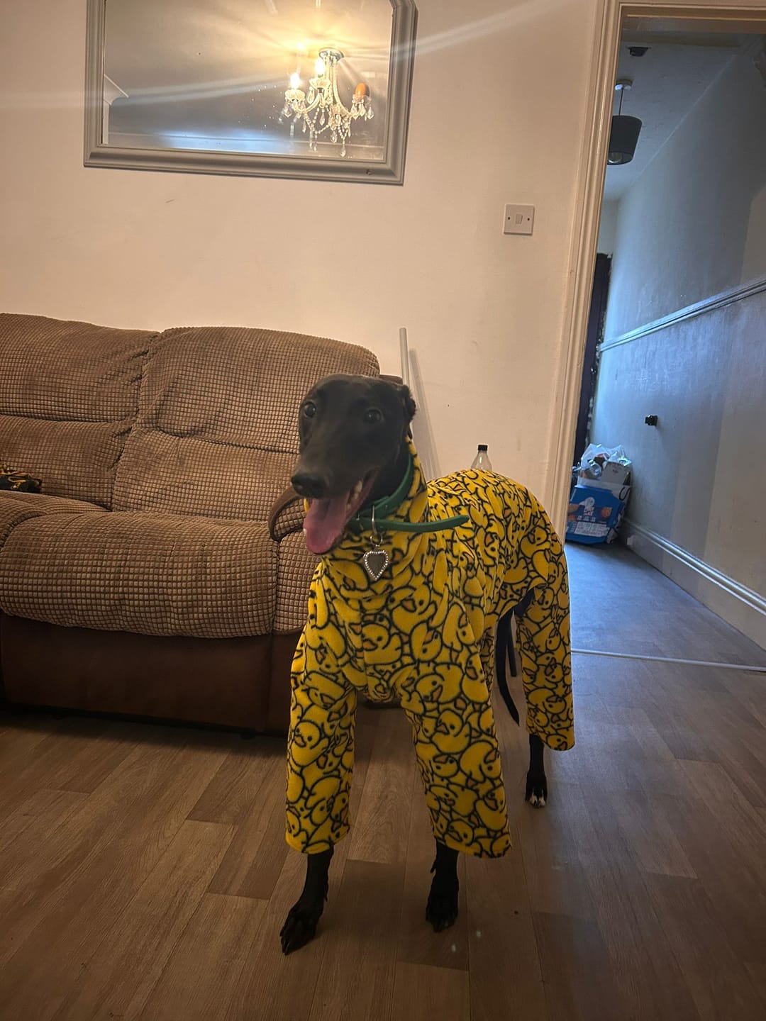 Customer photo review of Yellow Ducks Anti Pill Polar Fleece Fabric
