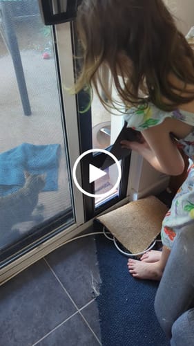 Customer video review of Patio Pet Door Insert