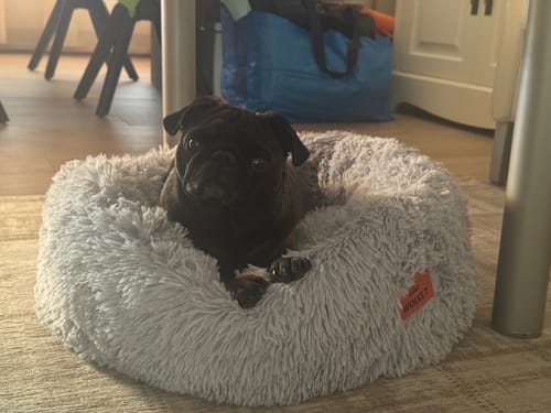 Customer photo review of Puppery Hundebett Wolke 7 - Das Original
