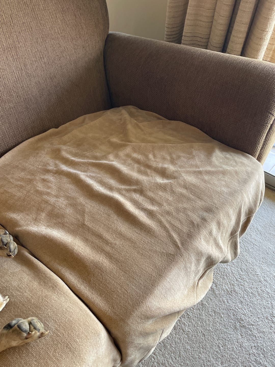 Customer photo review of Performance+ Couch Covers