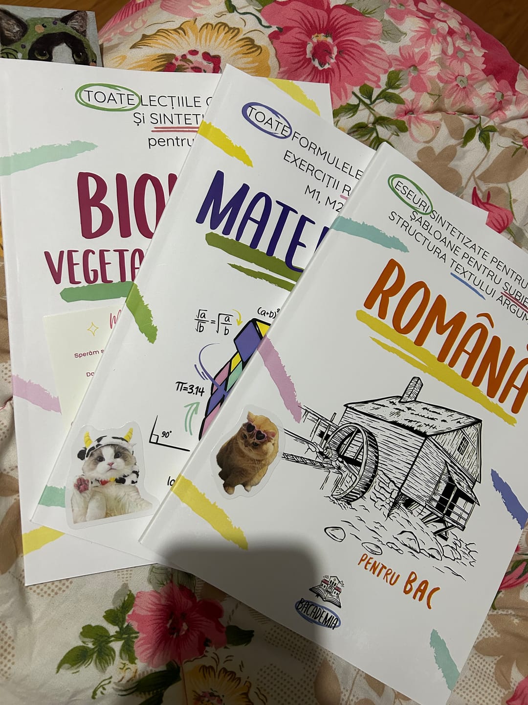 Customer photo review of Pachet Bacalaureat (Română + Matematică + Biologie Vegetală și Animală clasele IX-X) Bacademia