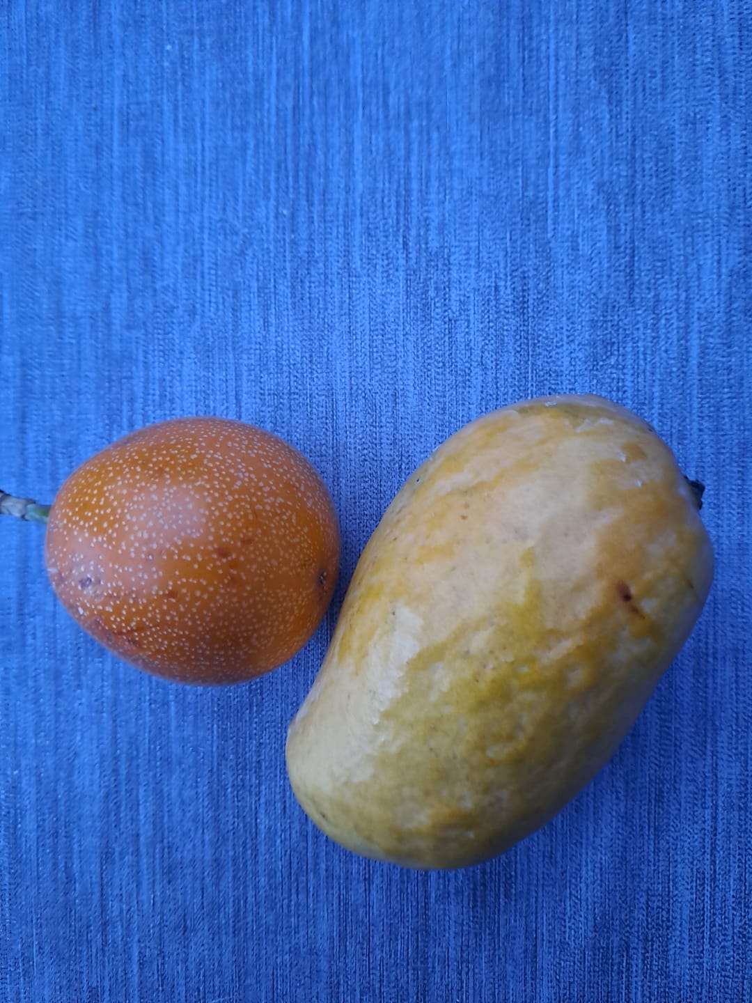Customer photo review of Mango & Granadilla Box